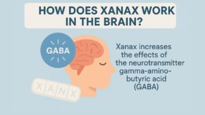 How Does Xanax Work in the Brain
